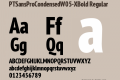 PTSansProCondensedW05-XBold