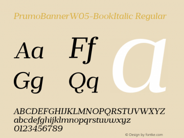 PrumoBannerW05-BookItalic