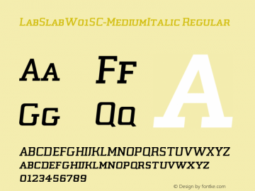 LabSlabW01SC-MediumItalic