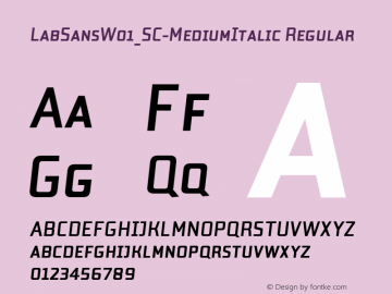 LabSansW01_SC-MediumItalic