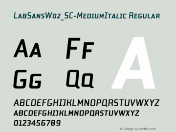 LabSansW02_SC-MediumItalic