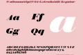 Walbaum60ptW04-ExtraBoldIt