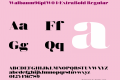 Walbaum96ptW04-ExtraBold