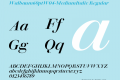 Walbaum60ptW04-MediumItalic