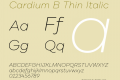 Cardium B