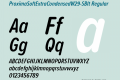 ProximaSoftExtraCondensedW29-SBIt