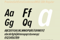 ProximaSoftExtraCondensedW02-SBIt