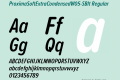 ProximaSoftExtraCondensedW05-SBIt