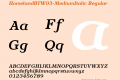 HomelandBTW03-MediumItalic