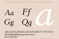 HorleyOldStyleMTW01-Italic