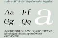 HaboroW03-ExtRegularItalic