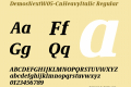 DemosNextW05-CnHeavyItalic