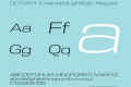 DDTW01-ExtendedLightItalic