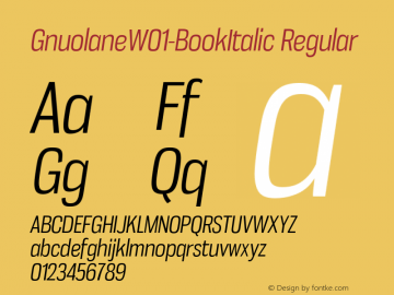 GnuolaneW01-BookItalic