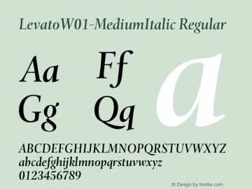 LevatoW01-MediumItalic