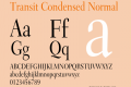 Transit Condensed