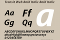 Transit Web Bold Italic