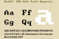 Mx437 IBM EGA 9x14