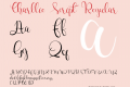 Charllie Script