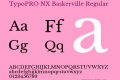 TypoPRO NX Baskerville