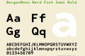 BergenMono Nerd Font