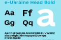 e-Ukraine Head