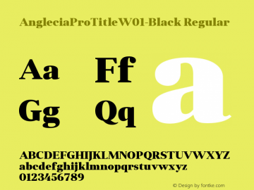 AngleciaProTitleW01-Black