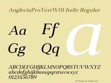 AngleciaProTextW01-Italic