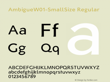 AmbigueW01-SmallSize