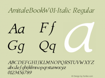 AmitaleBookW01-Italic