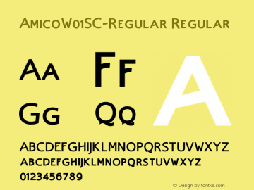 AmicoW01SC-Regular