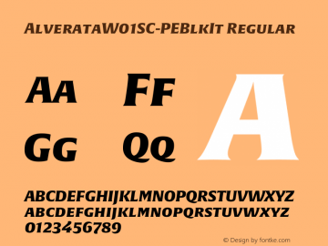 AlverataW01SC-PEBlkIt