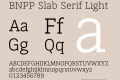 BNPP Slab Serif