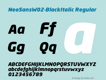 NeoSansW02-BlackItalic
