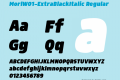 MorlW01-ExtraBlackItalic