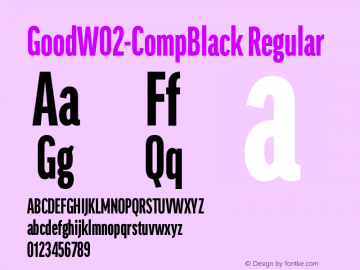 GoodW02-CompBlack