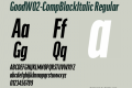 GoodW02-CompBlackItalic