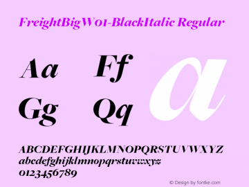 FreightBigW01-BlackItalic