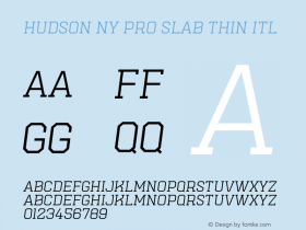 Hudson NY Pro Slab