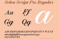 Selva Script Pro