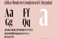 Gliko Modern Condensed L