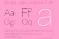 Schizotype Grotesk