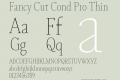 Fancy Cut Cond Pro