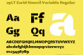 29LT Zarid Stencil Variable