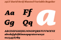 29LT Zarid Serif Slanted Variable