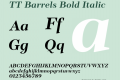 ☠TT Barrels Bold Italic