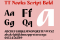 ☠TT Nooks Script Bold