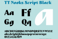 ☠TT Nooks Script Black