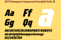 ☠TT Octosquares Compressed ExtraBold Italic