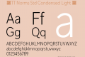 ☠TT Norms Std Condensed Light